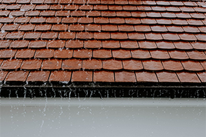 Commercial Example 02